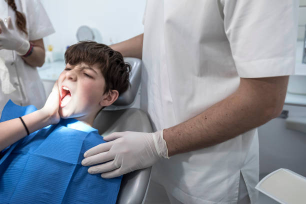 Best Emergency X-Rays and Diagnostics in Holly Springs, NC